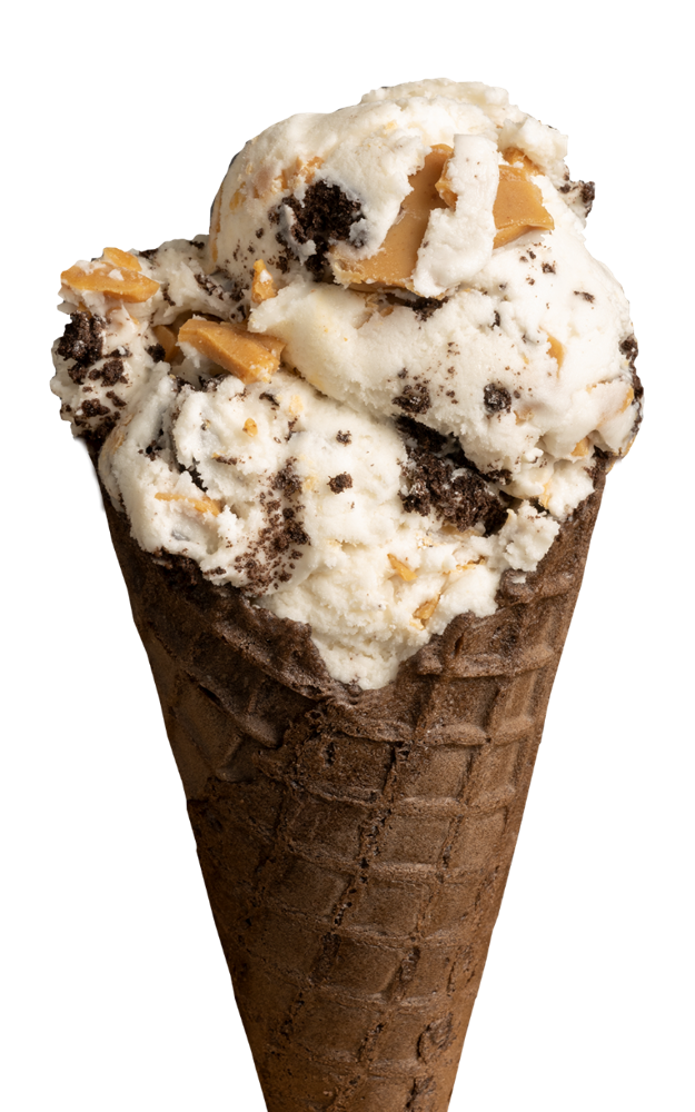Dairy Free Peanut Butter & Cookies ice cream