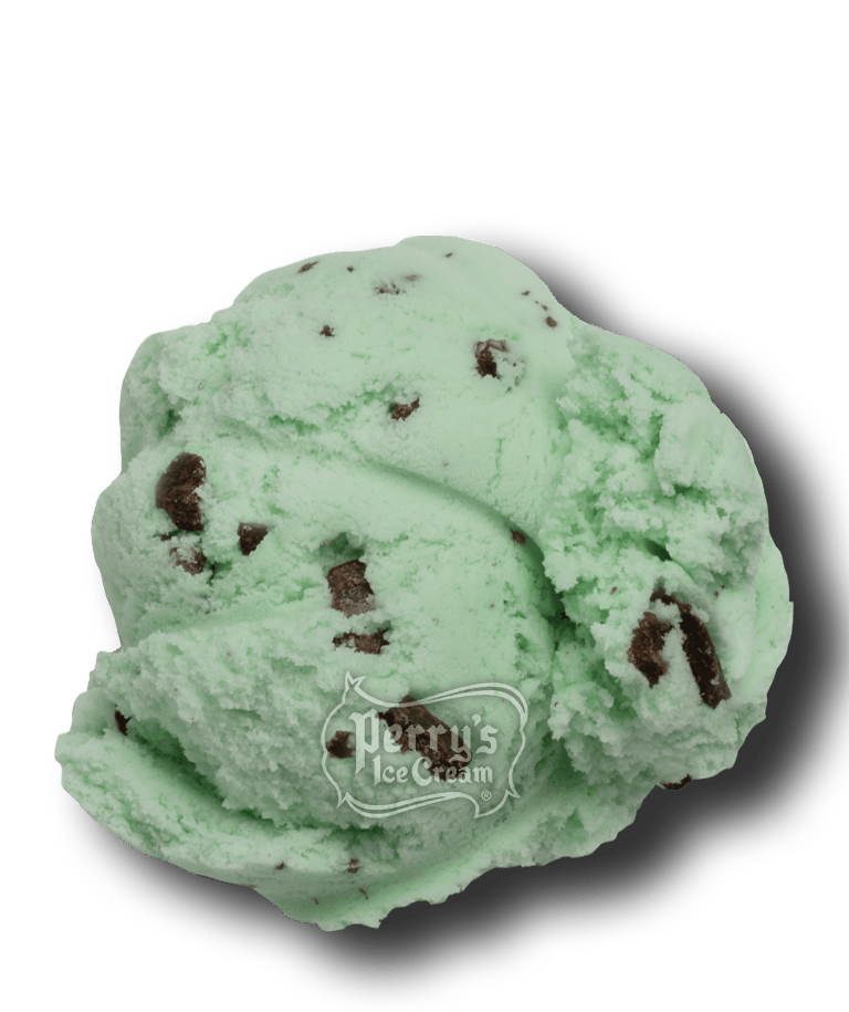 mint chocolate chip ice cream scoop