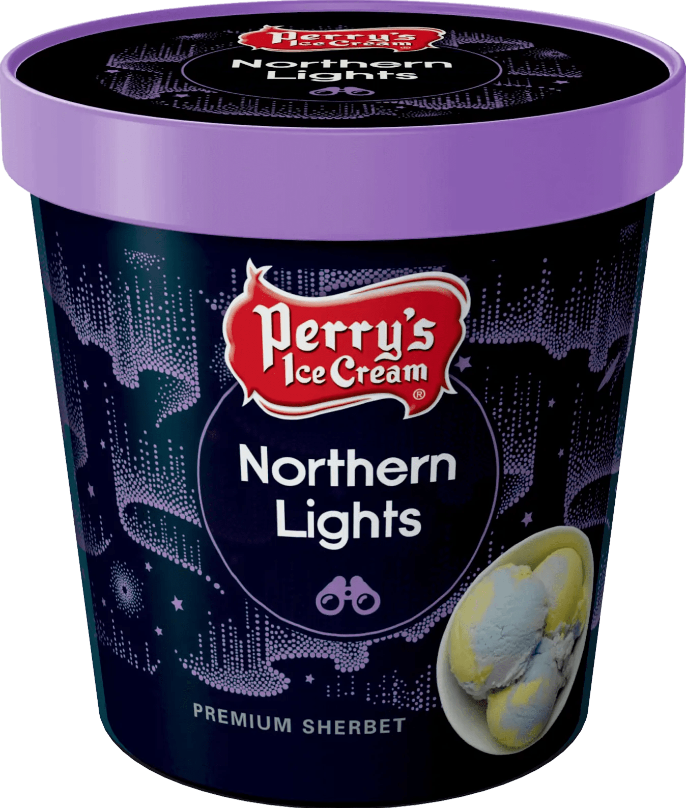 northern lights ice cream pint